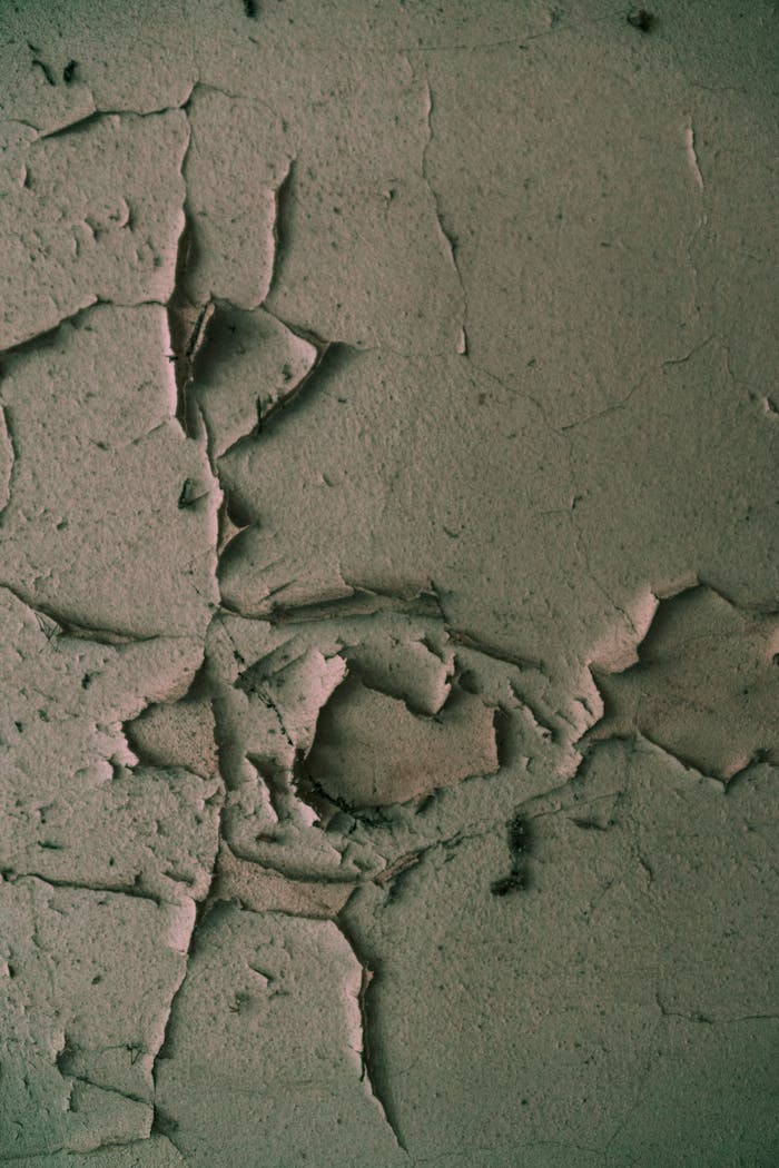 An artistic view of a cracked and textured plaster wall showcasing its aged surface.